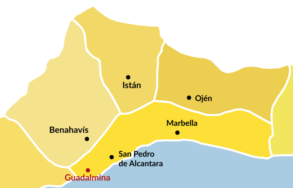 Villas for Sale in Guadalmina 
